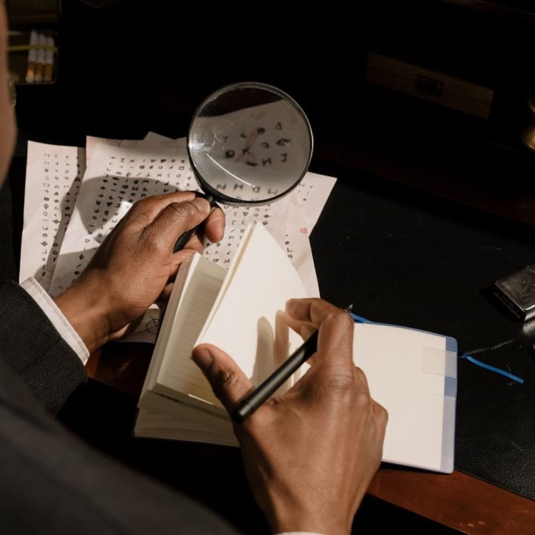 Sai Detective in Delhi